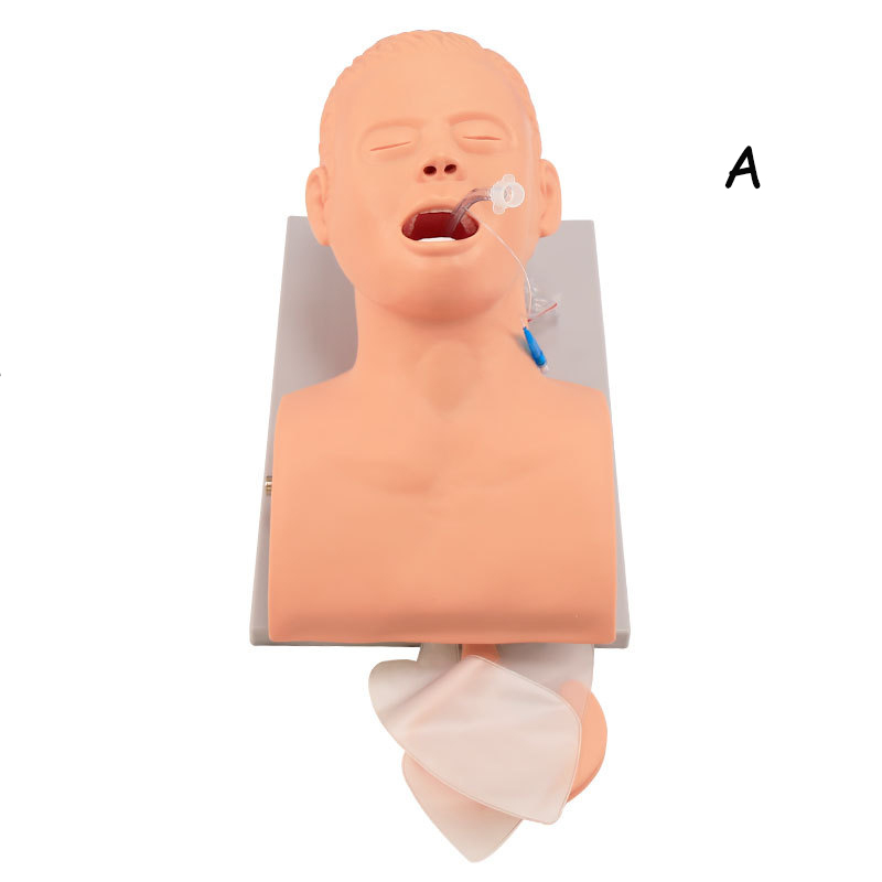Medical Lab Management - PVC ผู้ใหญ่ Intubation Manikin การสอนรุ่น Airway