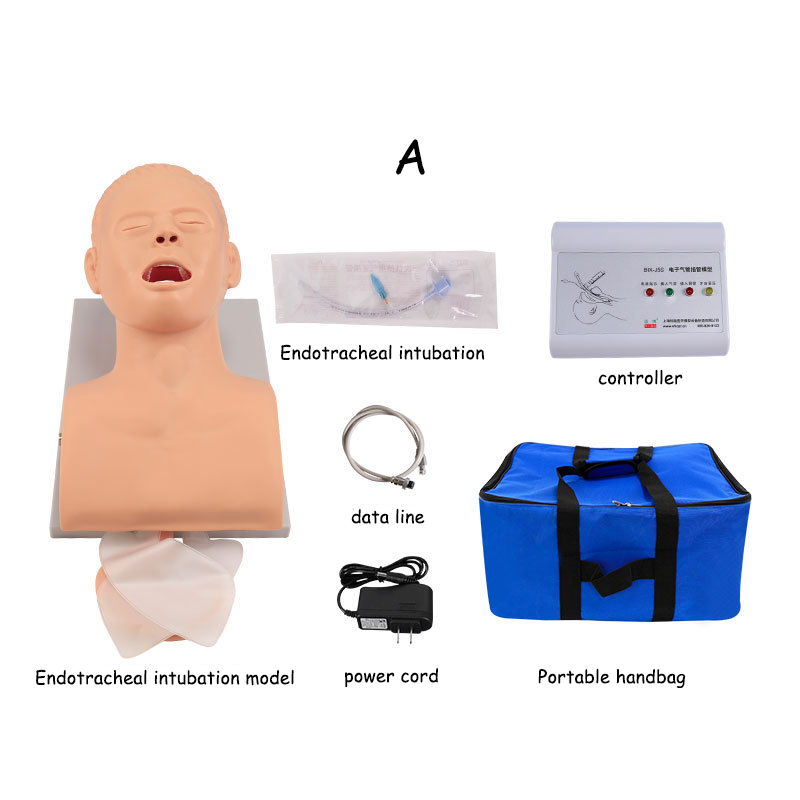 PVC ผู้ใหญ่ Intubation Manikin - Medical Lab Management บทวิจารณ์และราคา