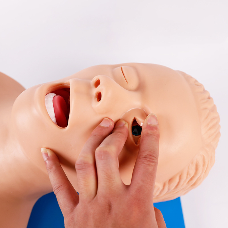 PVC ผู้ใหญ่ Intubation Manikin - Medical Lab Management บทวิจารณ์และราคา